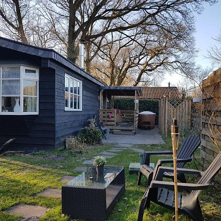 Chalet 2 Pers Met Hottub - Aan De Bosrand - Ijsselmeer - Gaasterland - Bos Rijs Esterno foto